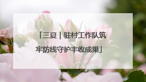 三夏｜驻村工作队筑牢防线守护丰收成果