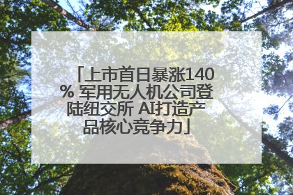 上市首日暴涨140% 军用无人机公司登陆纽交所 AI打造产品核心竞争力