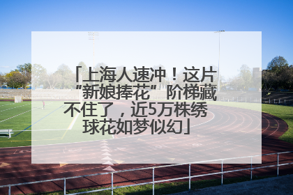 上海人速冲！这片“新娘捧花”阶梯藏不住了，近5万株绣球花如梦似幻