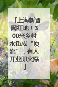 上海新晋网红地！300米乡村水街成“顶流”，有人开业即火爆