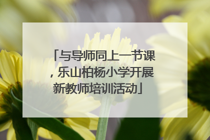与导师同上一节课，乐山柏杨小学开展新教师培训活动