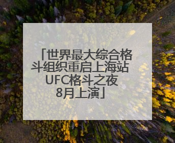 世界最大综合格斗组织重启上海站 UFC格斗之夜8月上演