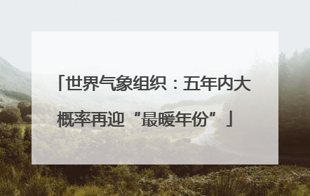 世界气象组织：五年内大概率再迎“最暖年份”