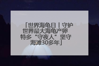 世界海龟日丨守护世界最大海龟产卵 特多“守夜人”坚守海滩30多年