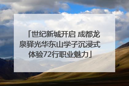 世纪新城开启 成都龙泉驿光华东山学子沉浸式体验72行职业魅力