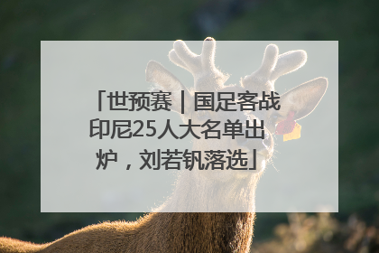 世预赛｜国足客战印尼25人大名单出炉，刘若钒落选