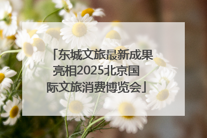 东城文旅最新成果亮相2025北京国际文旅消费博览会