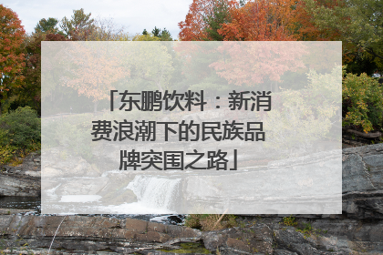 东鹏饮料：新消费浪潮下的民族品牌突围之路