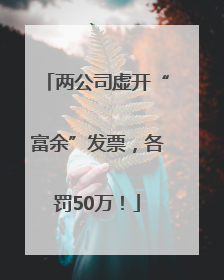 两公司虚开“富余”发票，各罚50万！