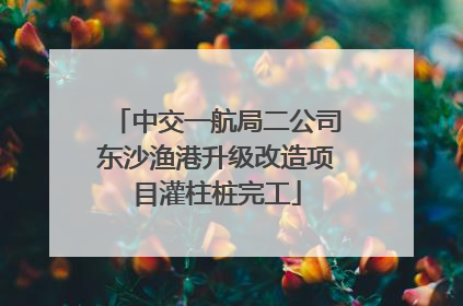 中交一航局二公司东沙渔港升级改造项目灌柱桩完工