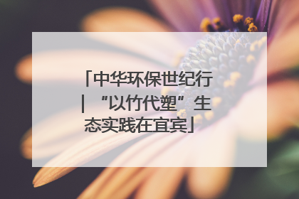 中华环保世纪行｜“以竹代塑”生态实践在宜宾