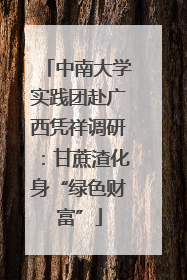 中南大学实践团赴广西凭祥调研：甘蔗渣化身“绿色财富”