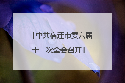 中共宿迁市委六届十一次全会召开