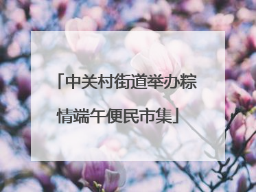 中关村街道举办粽情端午便民市集