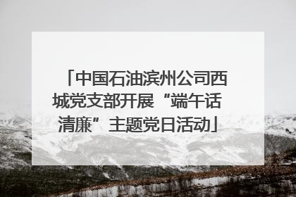 中国石油滨州公司西城党支部开展“端午话清廉”主题党日活动