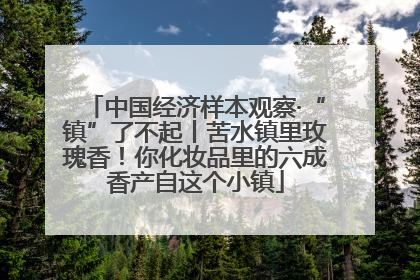 中国经济样本观察·“镇”了不起丨苦水镇里玫瑰香！你化妆品里的六成香产自这个小镇