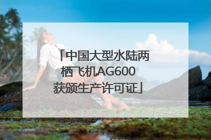 中国大型水陆两栖飞机AG600获颁生产许可证