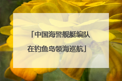 中国海警舰艇编队在钓鱼岛领海巡航