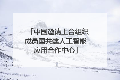 中国邀请上合组织成员国共建人工智能应用合作中心
