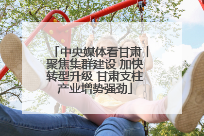 中央媒体看甘肃丨聚焦集群建设 加快转型升级 甘肃支柱产业增势强劲