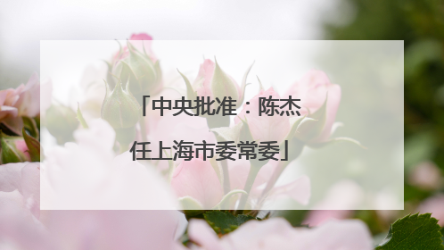 中央批准：陈杰任上海市委常委
