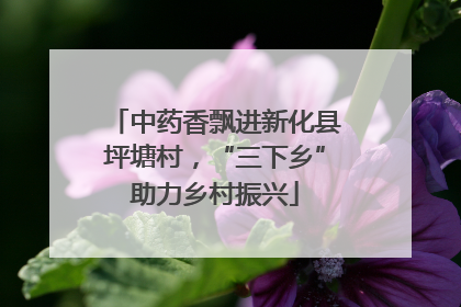 中药香飘进新化县坪塘村，“三下乡”助力乡村振兴