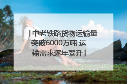 中老铁路货物运输量突破6000万吨 运输需求逐年攀升