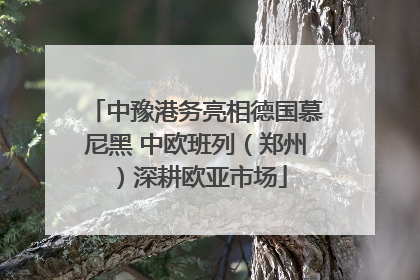 中豫港务亮相德国慕尼黑 中欧班列（郑州）深耕欧亚市场