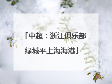 中超：浙江俱乐部绿城平上海海港