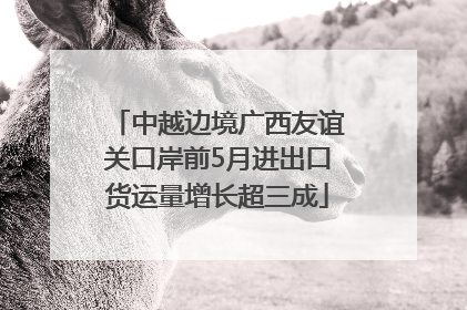 中越边境广西友谊关口岸前5月进出口货运量增长超三成