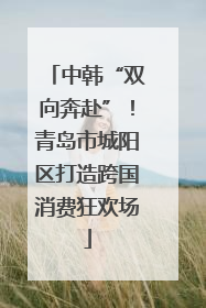 中韩“双向奔赴”！青岛市城阳区打造跨国消费狂欢场