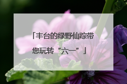 丰台的绿野仙踪带您玩转“六一”