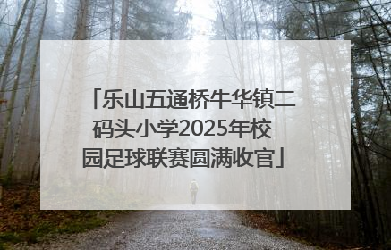 乐山五通桥牛华镇二码头小学2025年校园足球联赛圆满收官