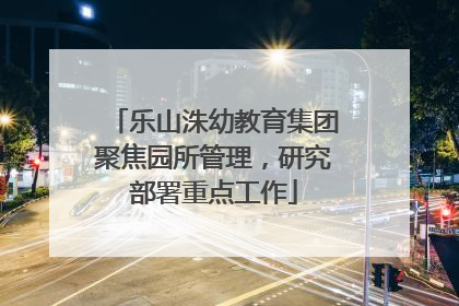 乐山洙幼教育集团聚焦园所管理，研究部署重点工作