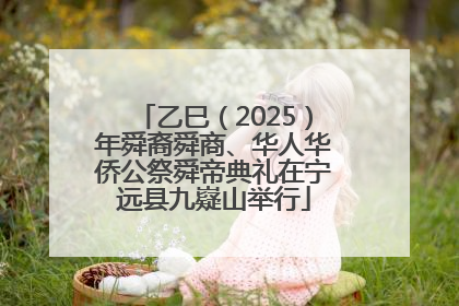 乙巳（2025）年舜裔舜商、华人华侨公祭舜帝典礼在宁远县九嶷山举行