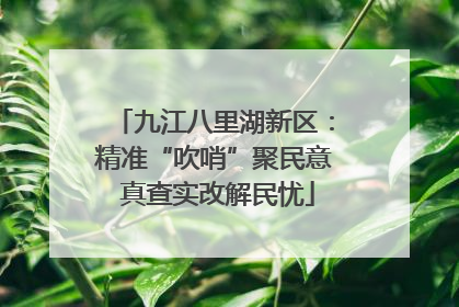 九江八里湖新区：精准“吹哨”聚民意 真查实改解民忧