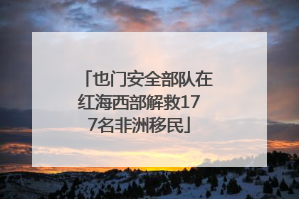 也门安全部队在红海西部解救177名非洲移民