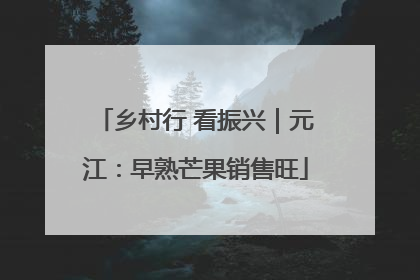 乡村行 看振兴｜元江：早熟芒果销售旺
