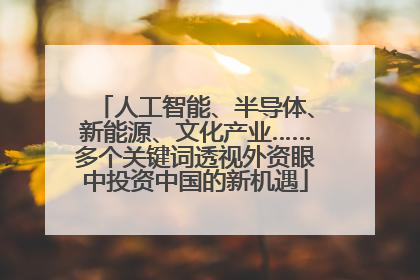 人工智能、半导体、新能源、文化产业……多个关键词透视外资眼中投资中国的新机遇