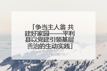 争当主人翁 共建好家园——平利县以党建引领基层善治的生动实践