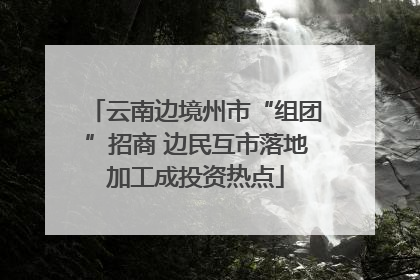 云南边境州市“组团”招商 边民互市落地加工成投资热点