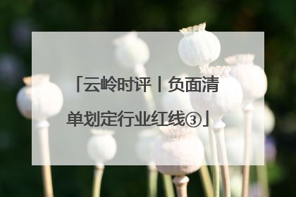 云岭时评丨负面清单划定行业红线③
