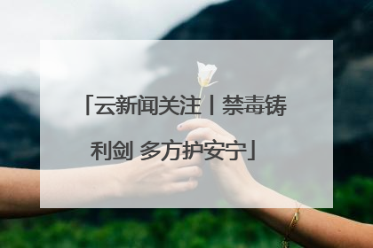 云新闻关注丨禁毒铸利剑 多方护安宁
