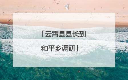 云霄县县长到和平乡调研