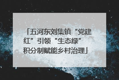 五河东刘集镇“党建红”引领“生态绿” 积分制赋能乡村治理