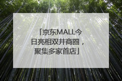 京东MALL今日亮相双井商圈，聚集多家首店