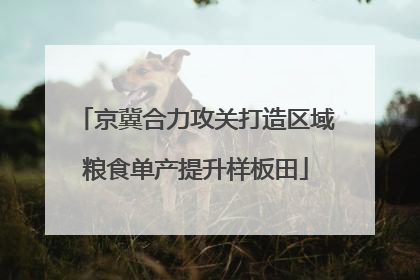 京冀合力攻关打造区域粮食单产提升样板田