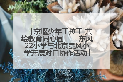 京堰少年手拉手 共绘教育同心圆——东风22小学与北京景风小学开展对口协作活动