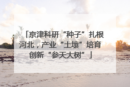 京津科研“种子”扎根河北，产业“土壤”培育创新“参天大树”