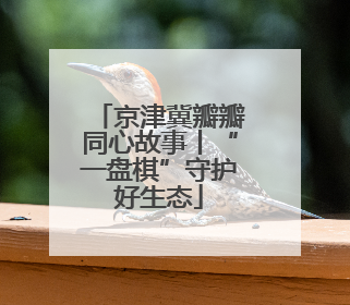 京津冀瓣瓣同心故事丨“一盘棋”守护好生态
